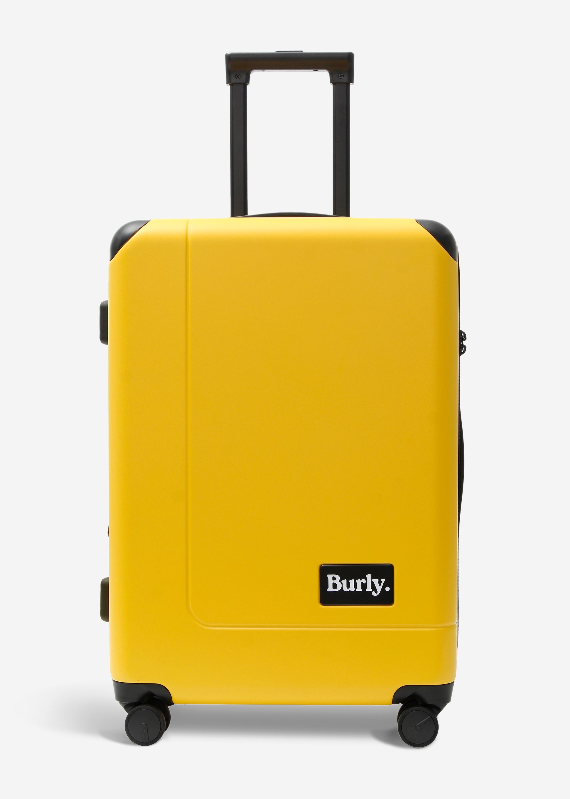 #colour_burly yellow