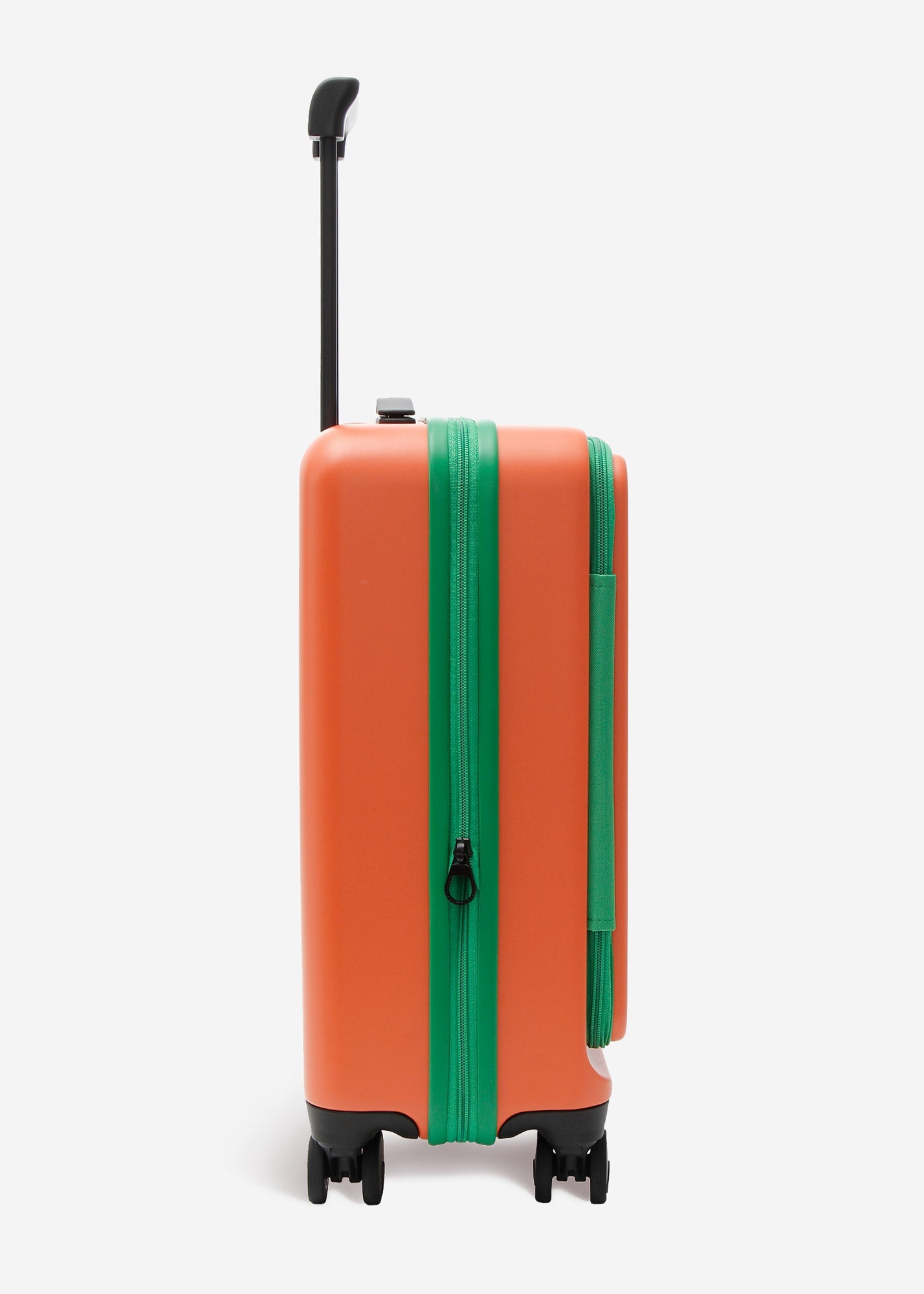 #colour_the carrot